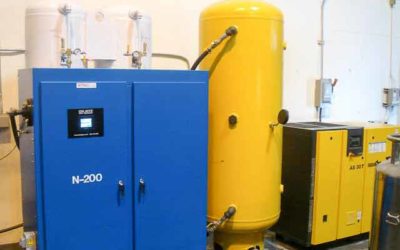 Nitrogen Generator for cheese Packaging and dairy