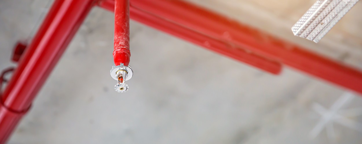 Pendant fire sprinkler head on red dry-pipe sprinkler branch piping below a concrete ceiling.